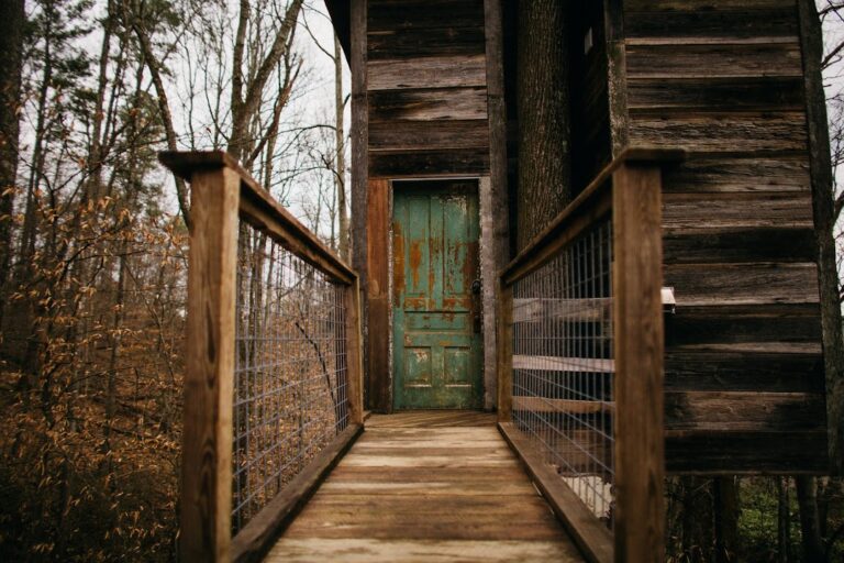 Treetop Hideaways