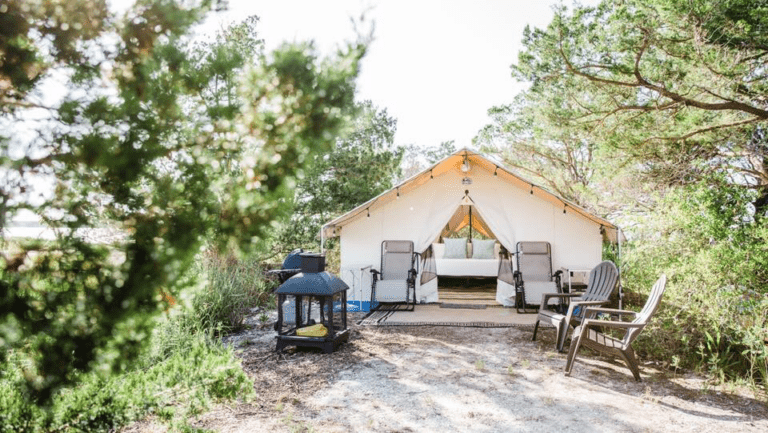 Little Raccoon Key-Tours, Charters, and Glamping