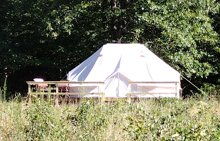 Happy Waterfall Pig Glamping Camp