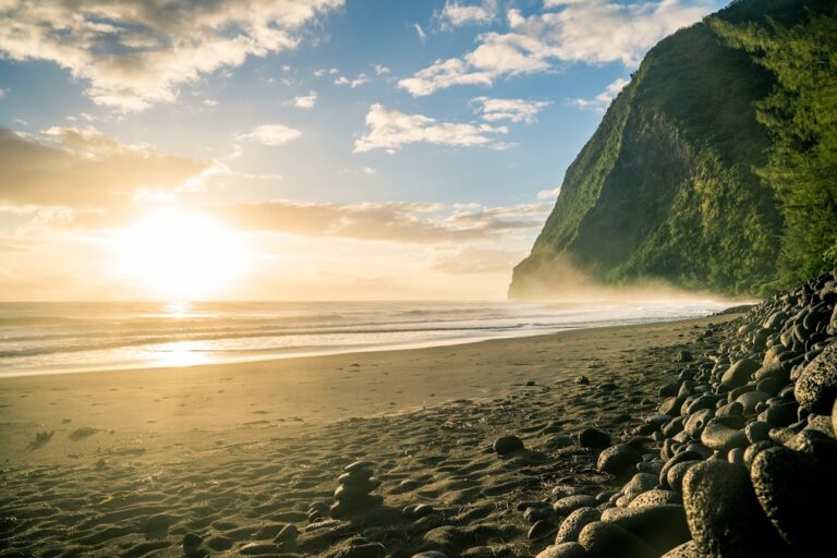 Waimanu Valley Campsites