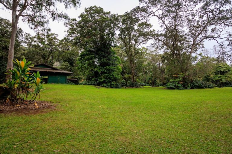 Kalōpā State Recreation Area