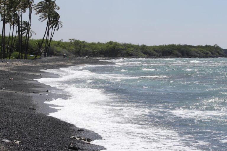 Kīholo State Park Reserve