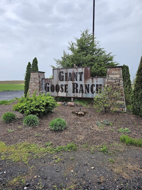 Giant Goose Ranch