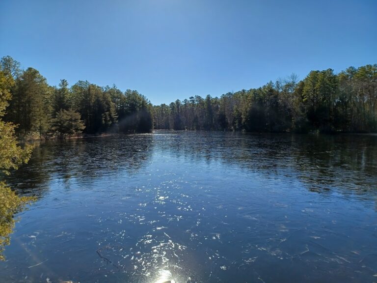 Brendan T. Byrne State Forest