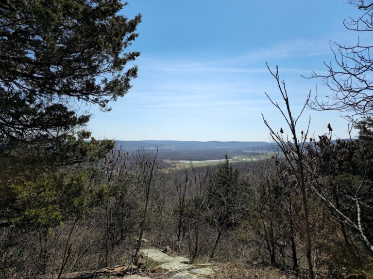 Jenny Jump State Forest