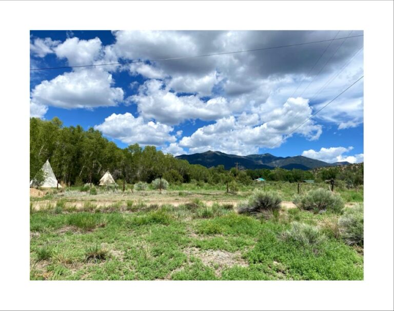 Taos Goji Retreat & Cabins