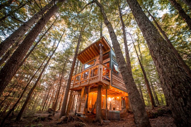 Stone City Treehouse